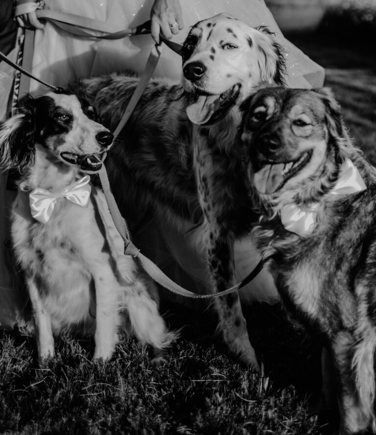 Bend Oregon wedding photographer Esther Rohr 980 768x889